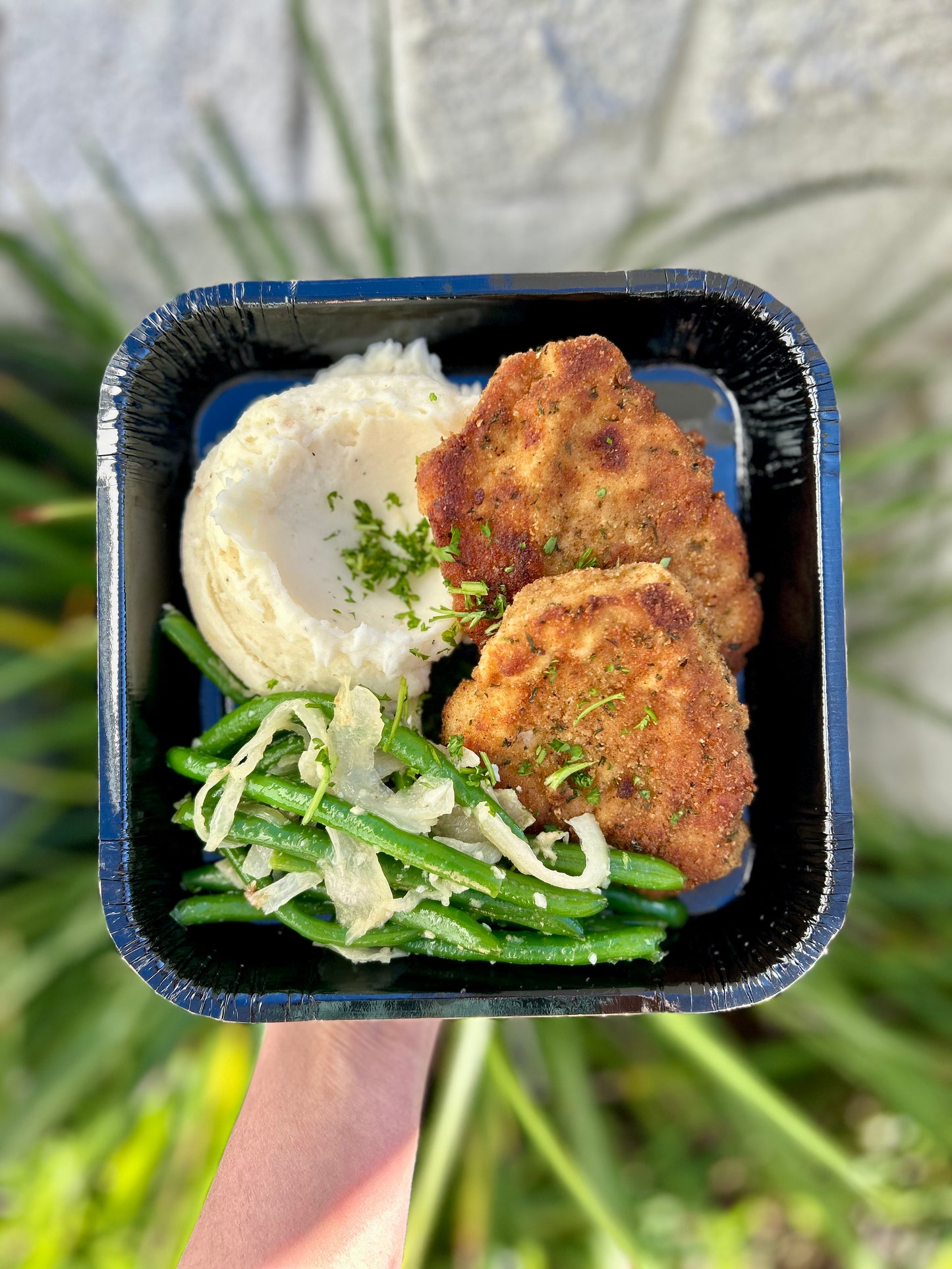 Pork Schnitzel - Meal