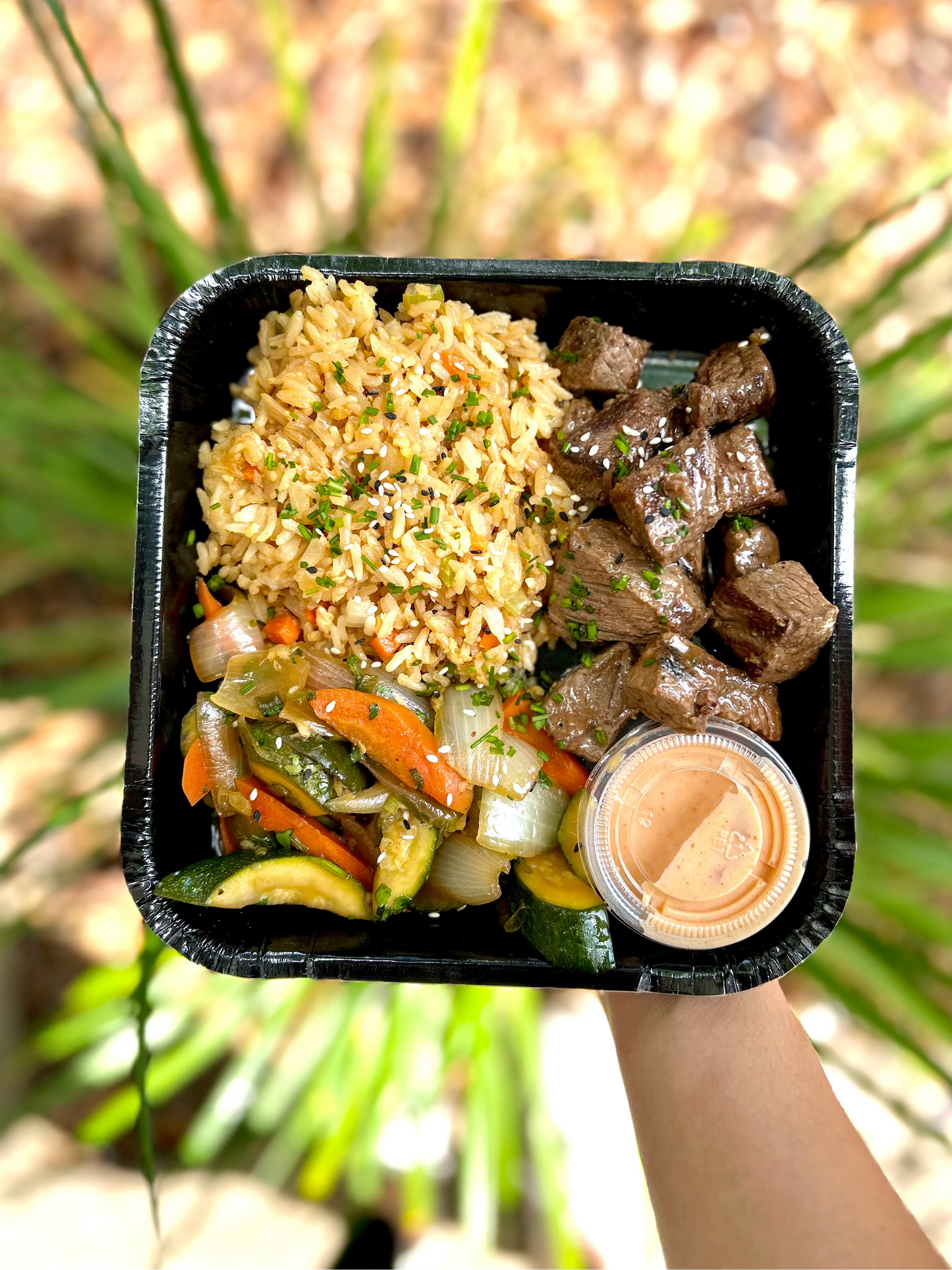 Steak Hibachi - Meal