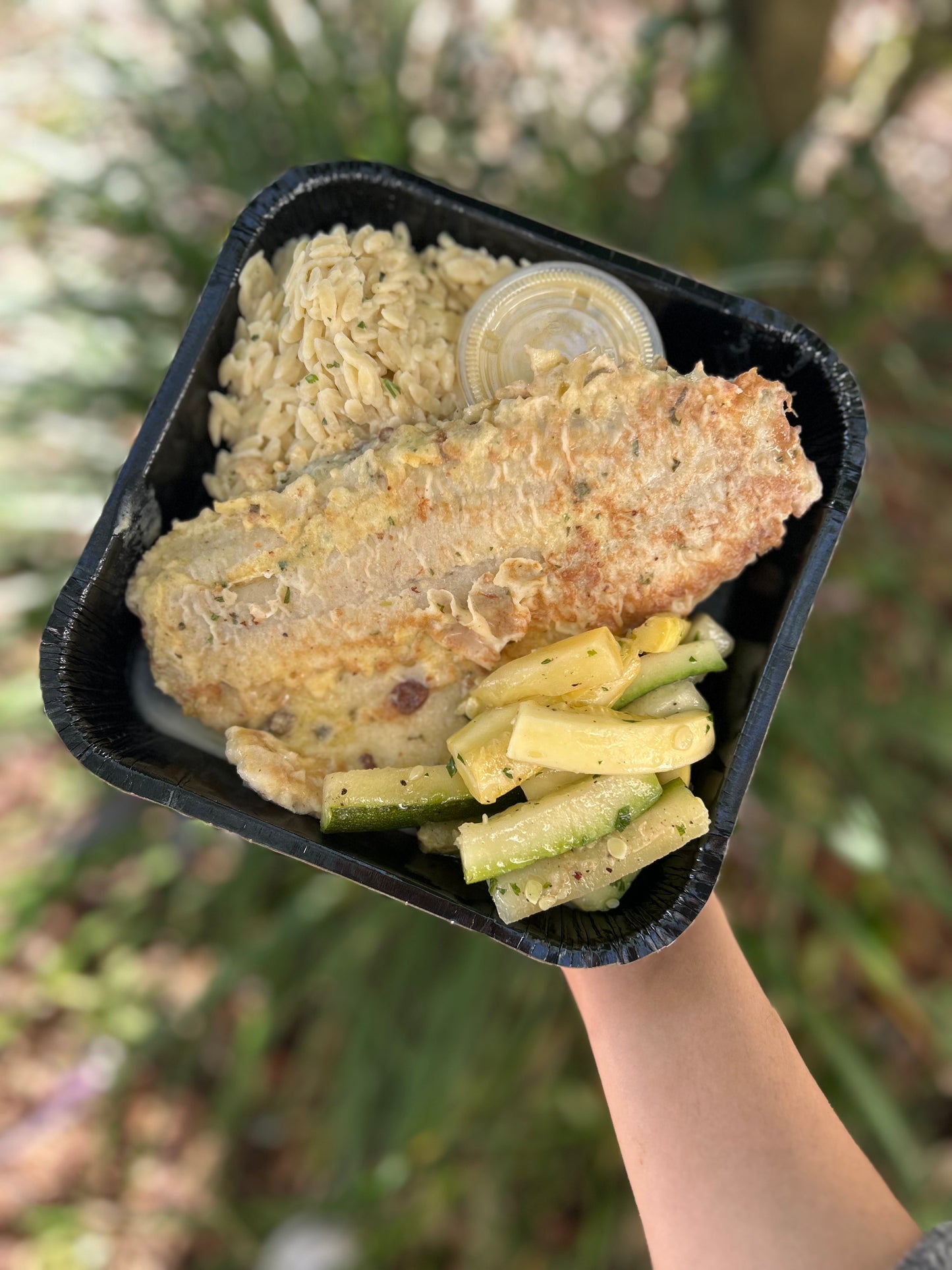 Lemon Basil Barramundi - Meal