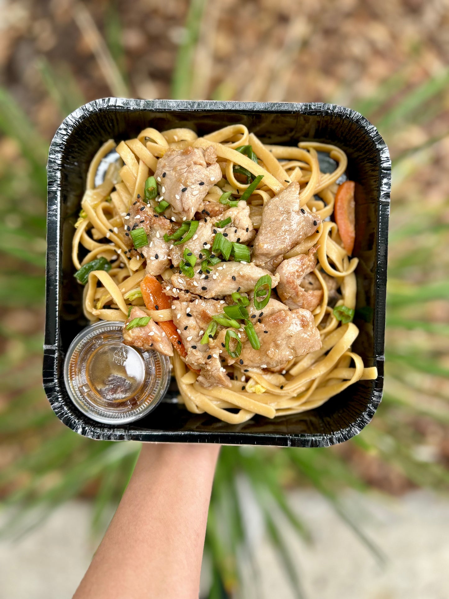 Pork Lo Mein - Meal