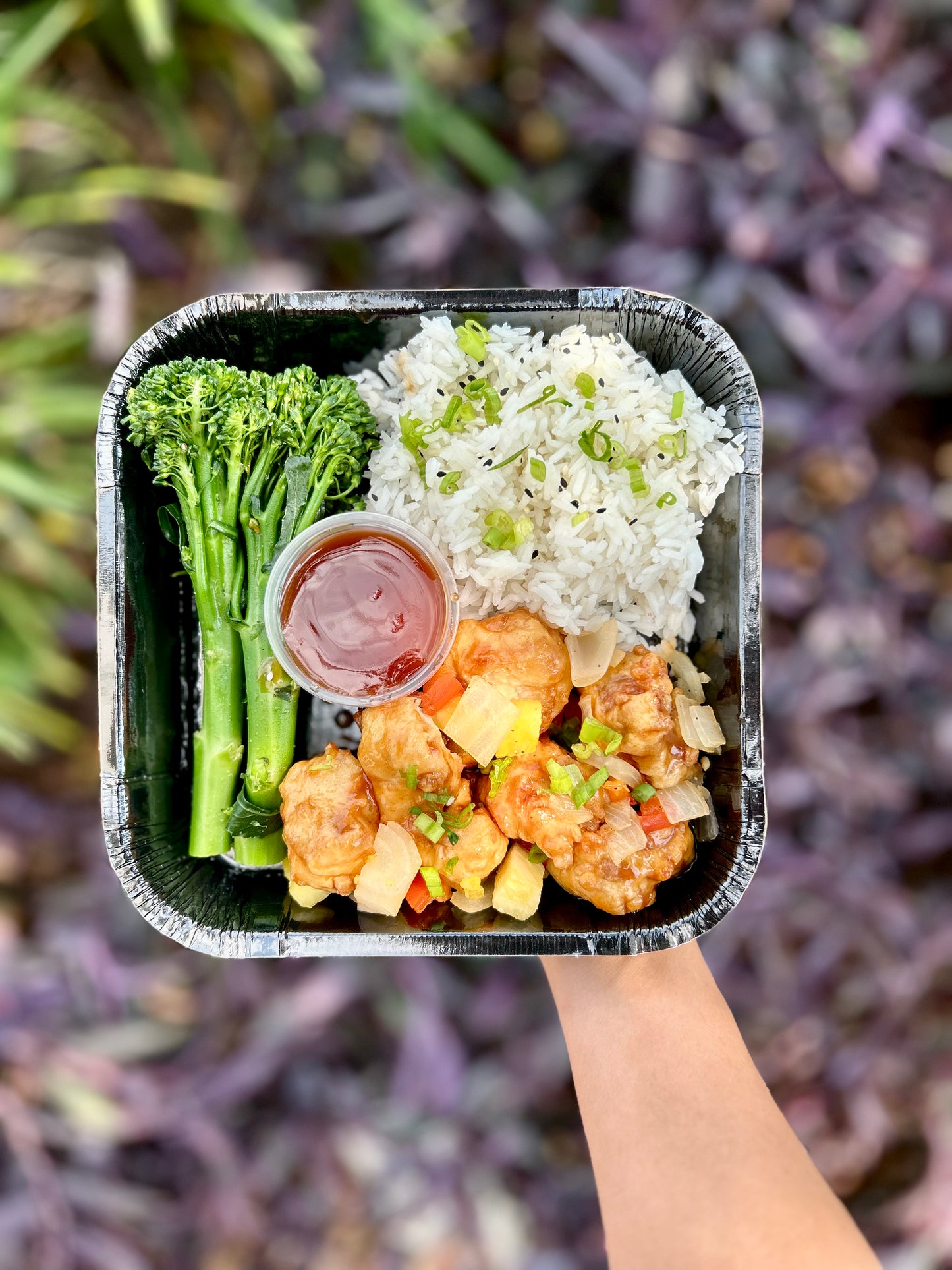 Sweet and Sour Pork - Meal